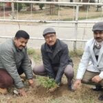 Principal Ramnagar